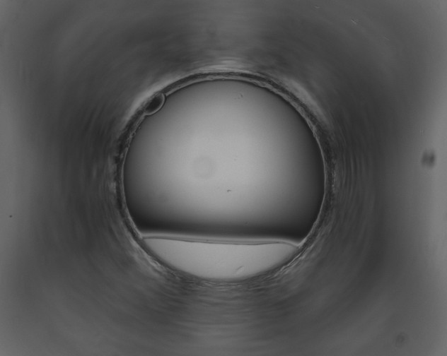 X0000094061356200710190923