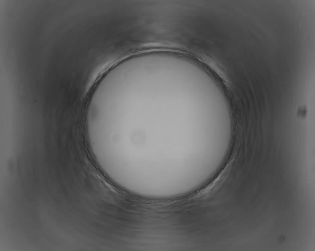 X0000094061357200710190923