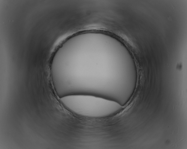 X0000094061358200710190923