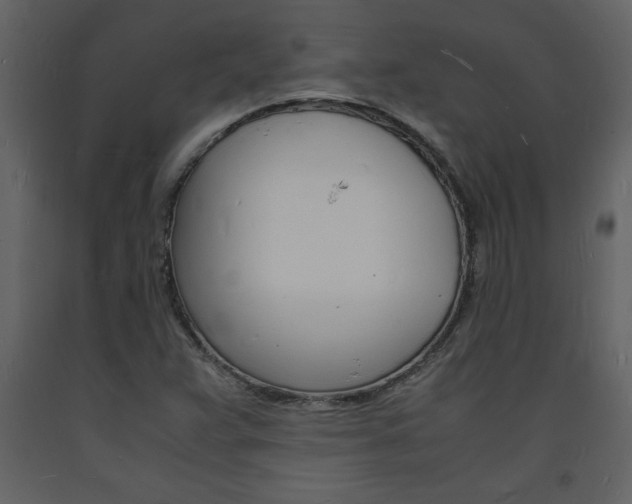 X0000094061359200710190923