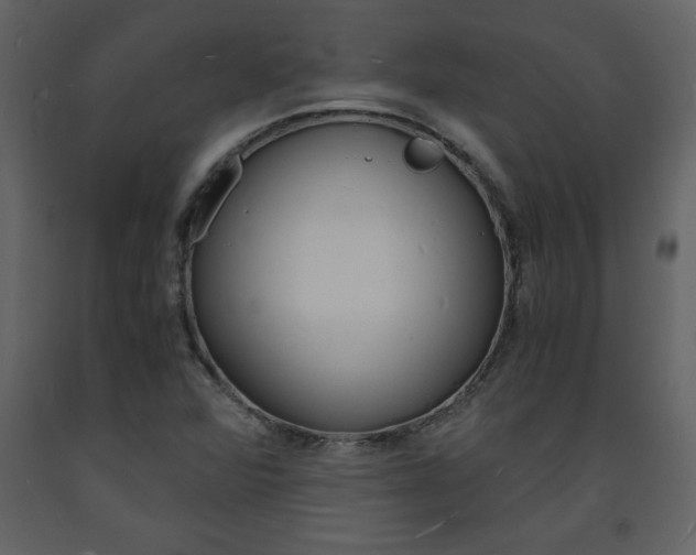 X0000094061360200710190922