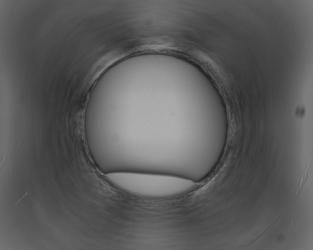 X0000094061361200710190922