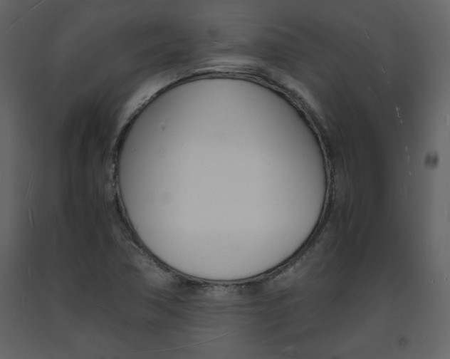 X0000094061362200710190922