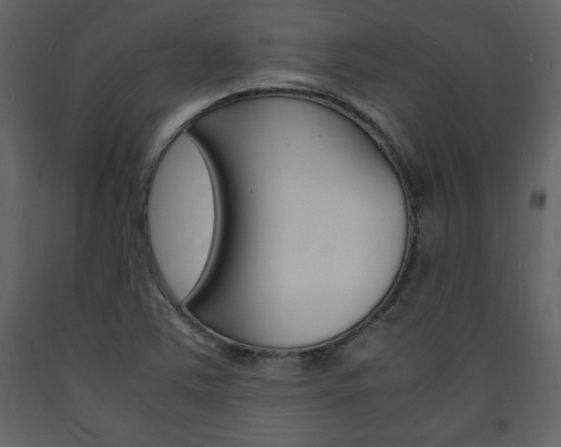 X0000094061363200710190922