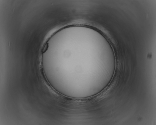X0000094061366200710190922