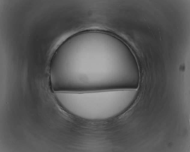 X0000094061367200710190922