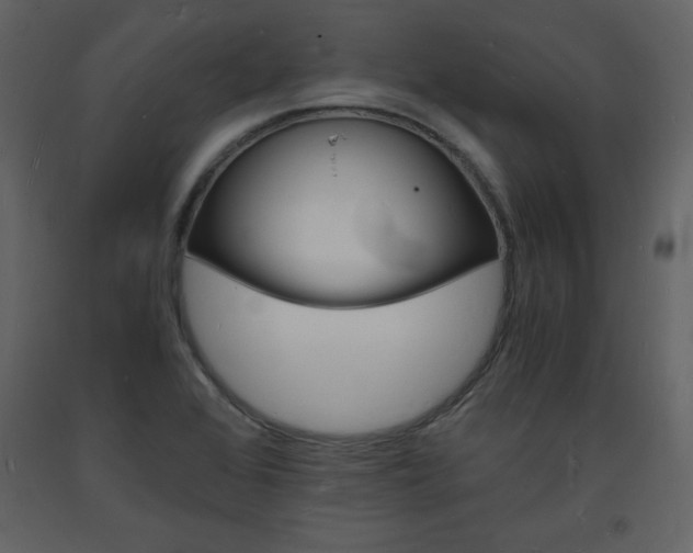 X0000094061368200710190922