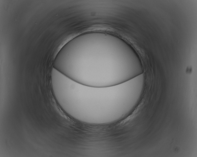 X0000094061369200710190922