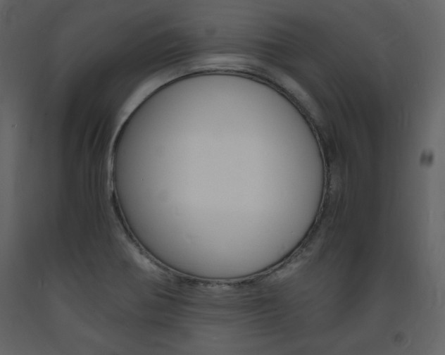 X0000094061370200710190922