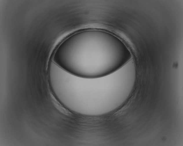 X0000094061372200710190922