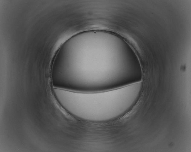 X0000094061373200710190922