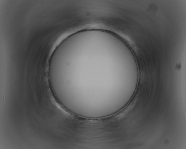 X0000094061374200710190922