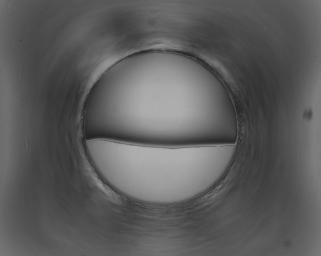 X0000094061375200710190922