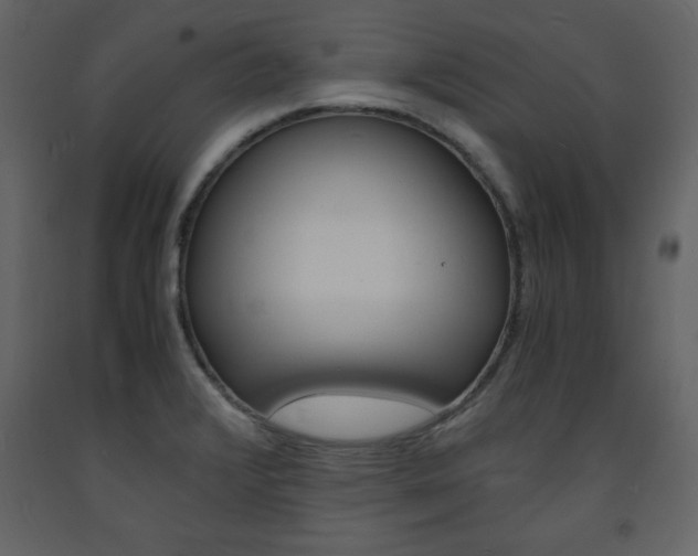 X0000094061376200710190922