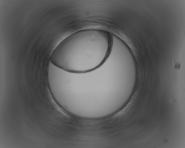 X0000094061377200710190922