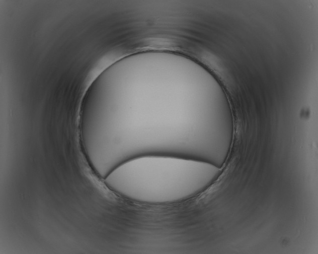 X0000094061378200710190922
