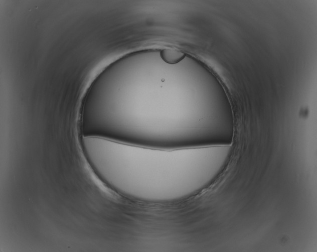 X0000094061379200710190922