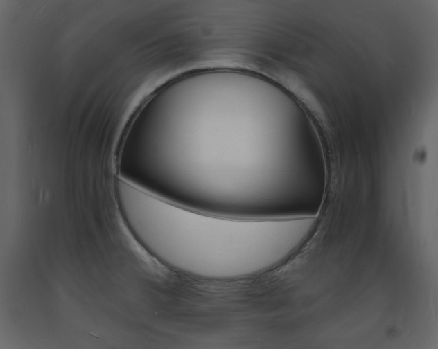 X0000094061380200710190922