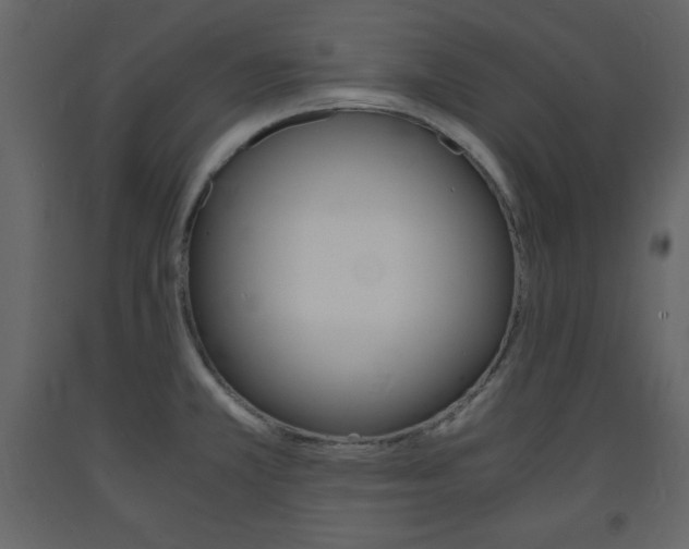 X0000094061381200710190922