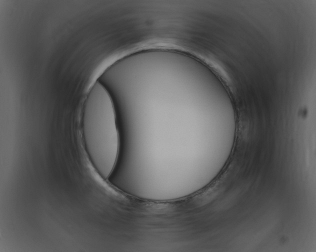 X0000094061382200710190922