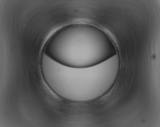 X0000094061384200710190922