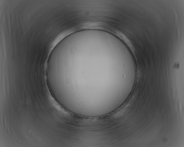 X0000094061386200710190922