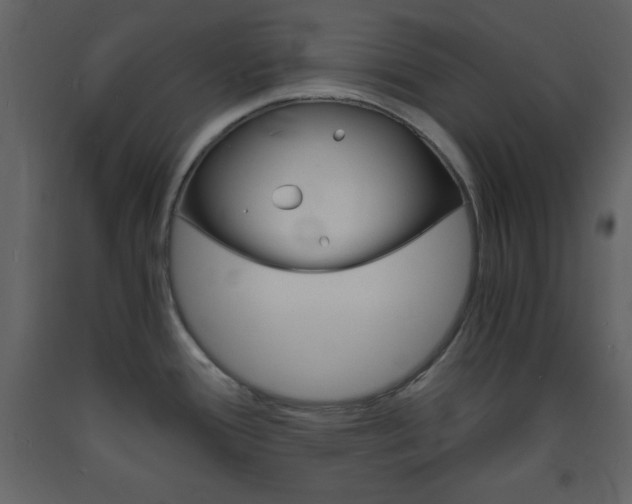 X0000094061388200710190922