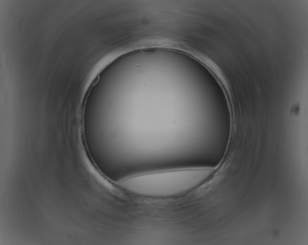 X0000094061389200710190922