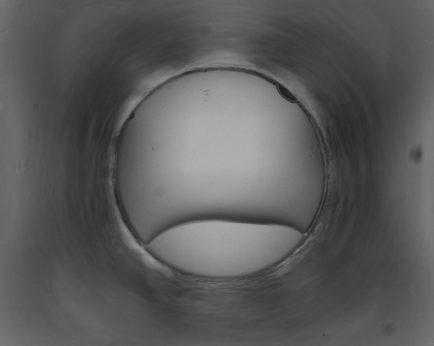 X0000094061390200710190922