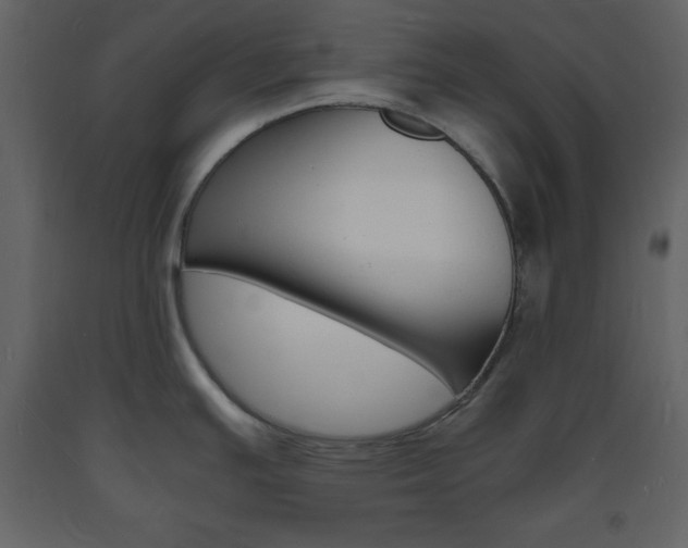 X0000094061391200710190922