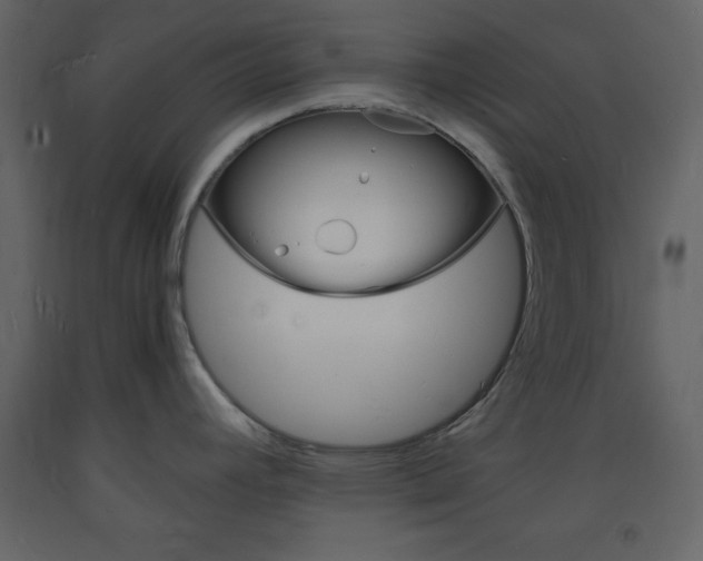 X0000094061392200710190922