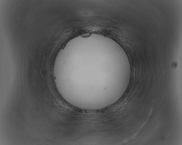 X0000094061393200710190921