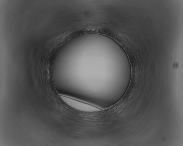 X0000094061394200710190921