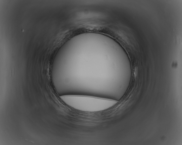 X0000094061396200710190921