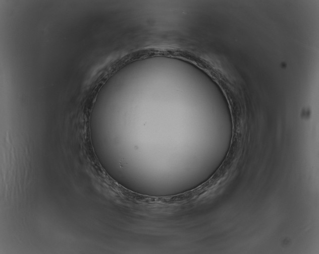 X0000094061398200710190921