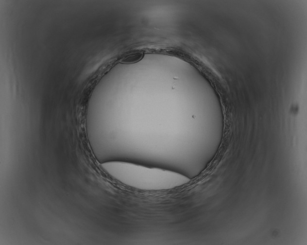 X0000094061399200710190921