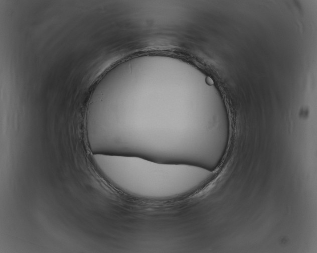 X0000094061401200710190922