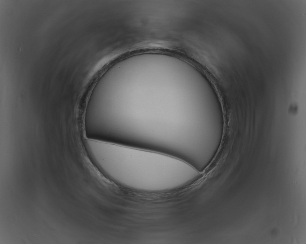 X0000094061404200710190922