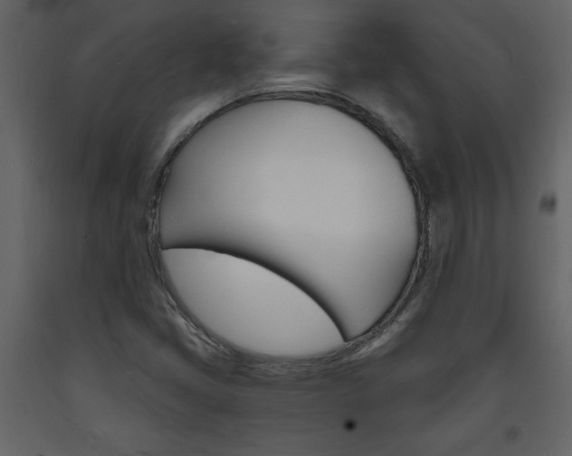 X0000094061405200710190922