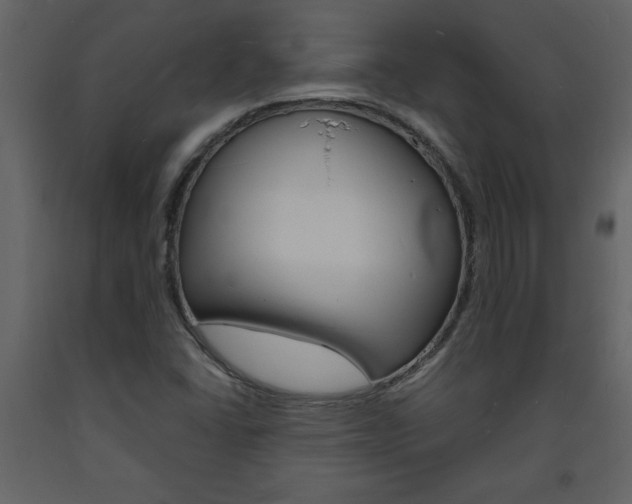 X0000094061406200710190922