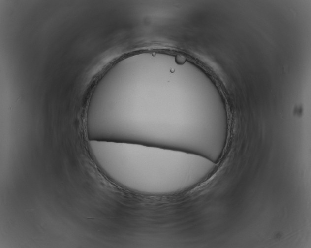 X0000094061407200710190922