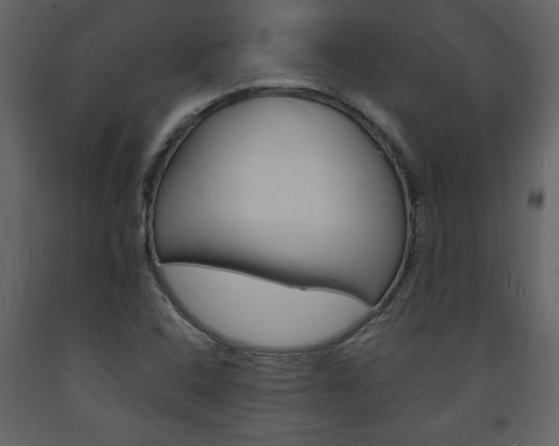 X0000094061408200710190922