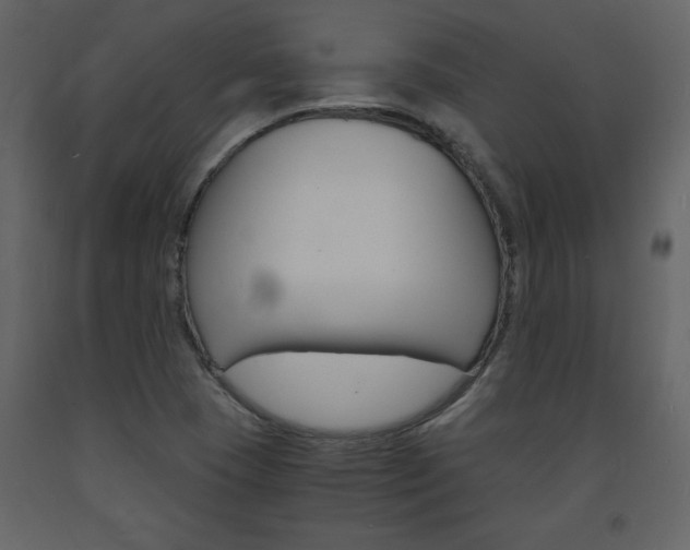 X0000094061409200710190922