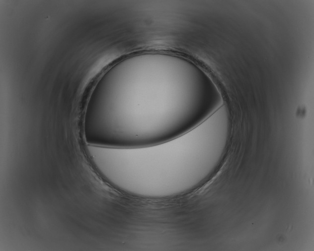 X0000094061410200710190922