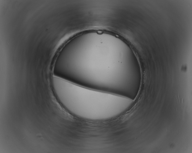 X0000094061412200710190922