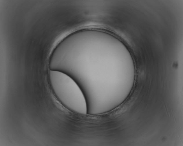 X0000094061413200710190922