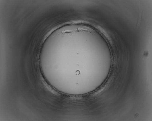 X0000094061417200710190922