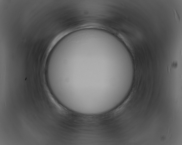 X0000094061418200710190922