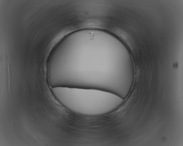 X0000094061419200710190922