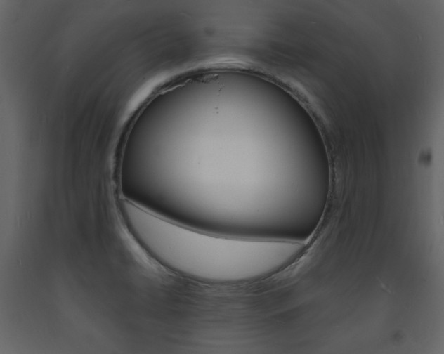 X0000094061422200710190922